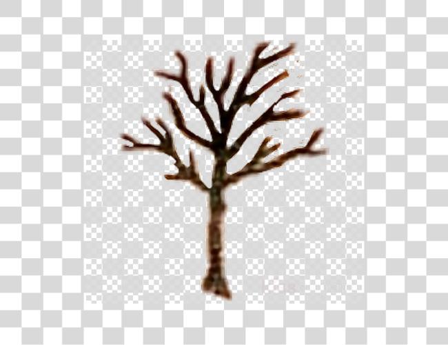 Download Leafless Tree Tattoo Xxxtentacion Tattoo video Arbol Xxxtentacion Clip arte