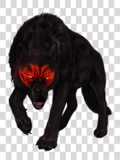 Download Pictures Of negro Wolf negro Wolf PNG file