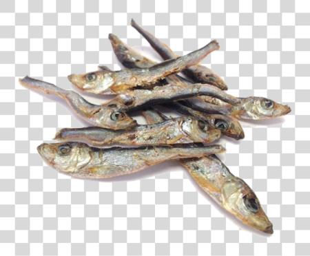 Download Dried Fish Anchovy PNG file