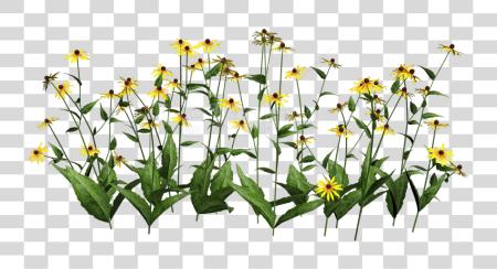 Download Plants Flowers Photoshop Cut Out PNG file