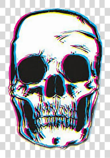 Download Skull Tumblr PNG file