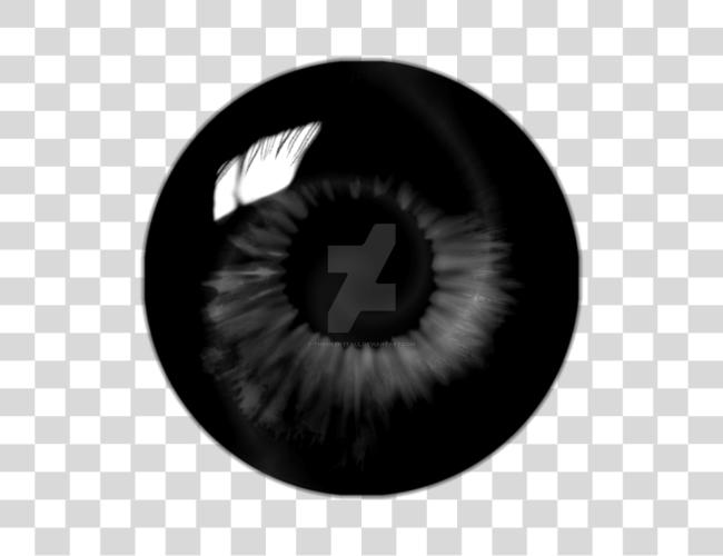 Download Eyes Swirl Black Eye Lens Clip Art