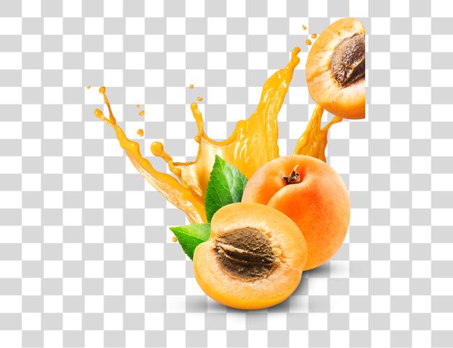 Download Apricot Liquifruit Fresh Juices Clip Art