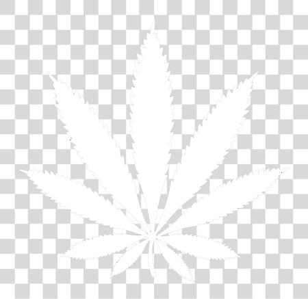 Download Buy Weed Thepotvault Marijuana Leaf White PNG file