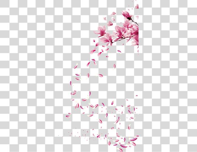 Download flowers flores sakura ptalas ptala sticker Cherry Blossom Brush Clip Art