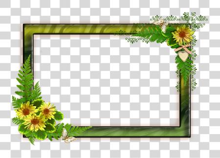 Download Flower Frame Format Frames Backgrounds Photo Frame Background PNG file