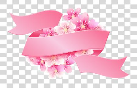 下载 粉红色 緞帶 與 Flowers Image 粉红色 花 PNG file