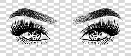 Download Lashes And Eyebrow Eyelashes Drawings PNG file