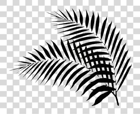 Download Black Palm Leaf Black Palm Leaf PNG file