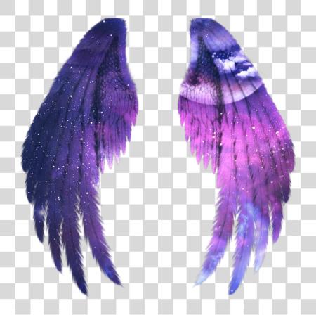 Download wings galaxy alas fairy Black Angel Wings PNG file