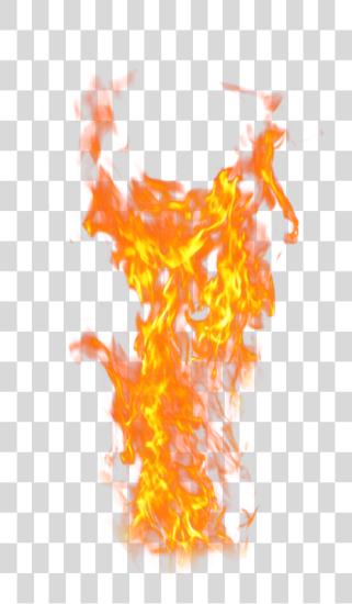 下载 火 Flame Logo 光 PNG file