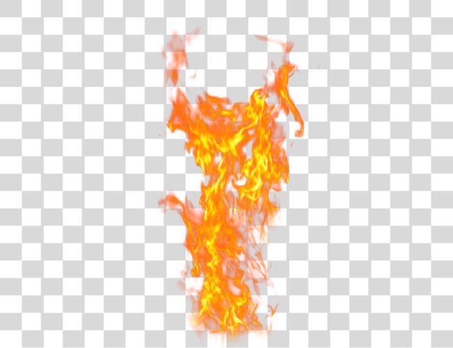 Download Fire Flame Logo Light Clip Art