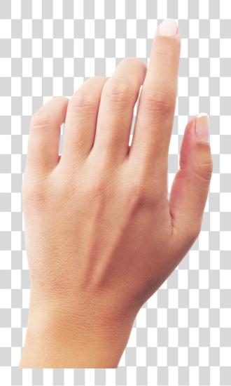 下载 手 Hand PNG file