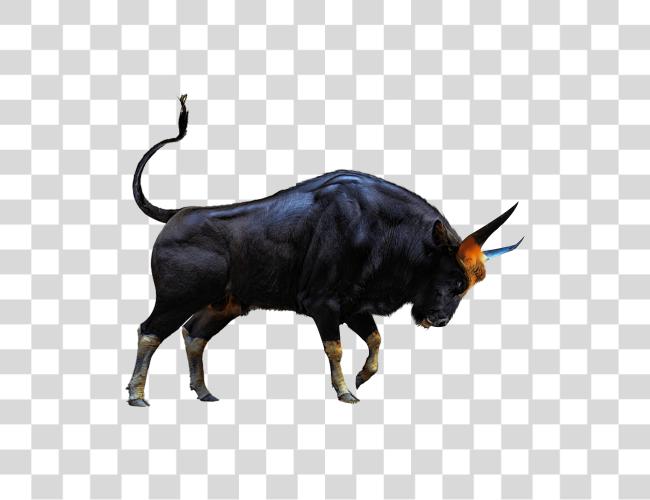 Download Bull Bull Sr Editing Zone Clip Art