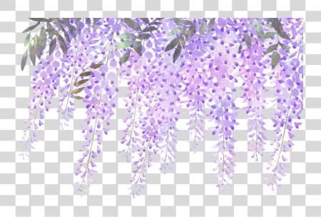 Download ftestickers flowers border lavender wisteria Lavender Flower Border PNG file