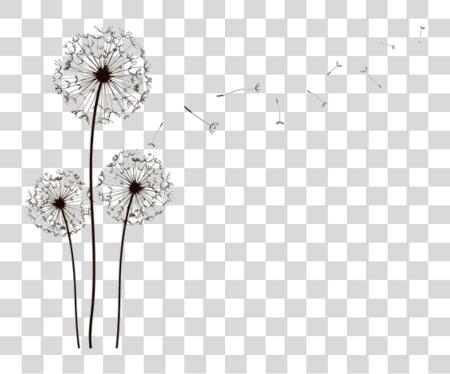 下载 dientedeleon negro lineas flor flores Diente De Leon Dibujo PNG file