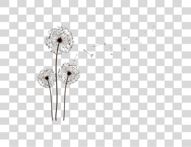 Download dientedeleon negro lineas flor flores Diente De Leon Dibujo Clip arte