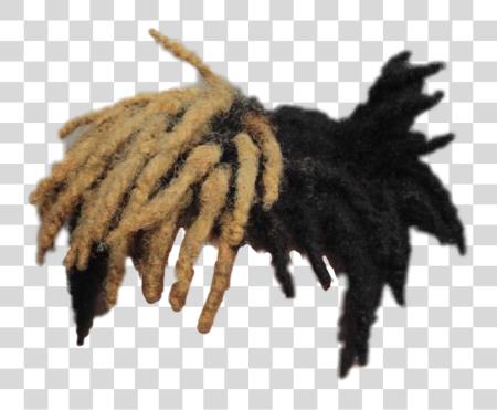 Download Xxxtentacion Hair Pelo De Xxxtentacion PNG file