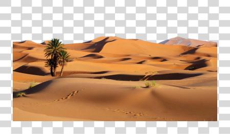 تحميل Desert Photo Sahara Desert بي ان جي ملف