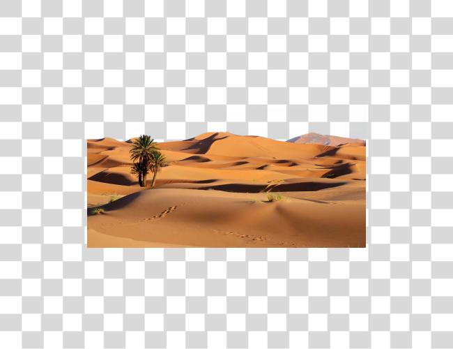 Download Desert Photo Sahara Desert Clip Art