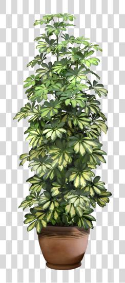 下载 0 9ddb1 5c7a292c Xxl Planting Shrubs Interior Plants 大的 Indoor Plants PNG file