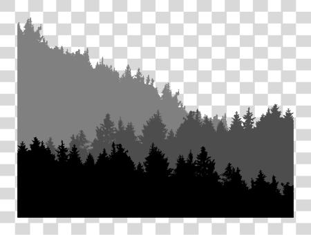 Download Big Image Forest Tree Line Silhouette PNG file