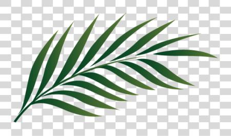 Download Palm Leaf Fold And Cut Craft Dltkbiblecom Palm Leaf PNG file