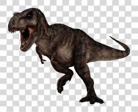 Download T Rex Image T Rex No PNG file