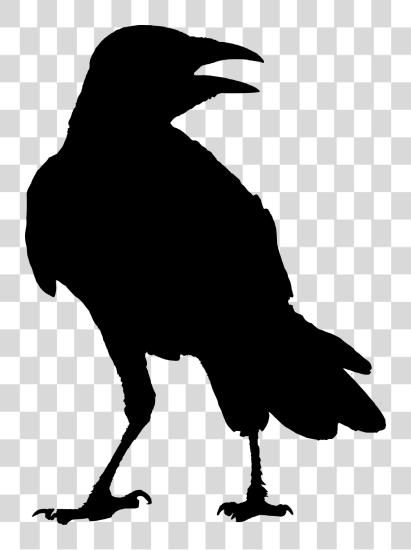 下载 Svg Crow Raven Silhouette Raven PNG file