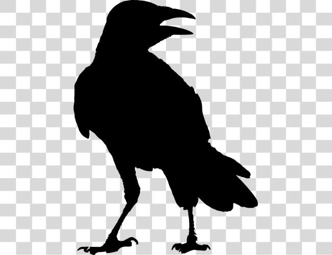 Download Svg Crow Raven silueta Raven Clip arte