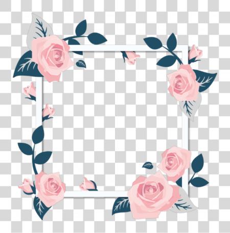 Download Khung Gc Hoa Hng Stickers marco flor Flowers rosa marco Flowers PNG file