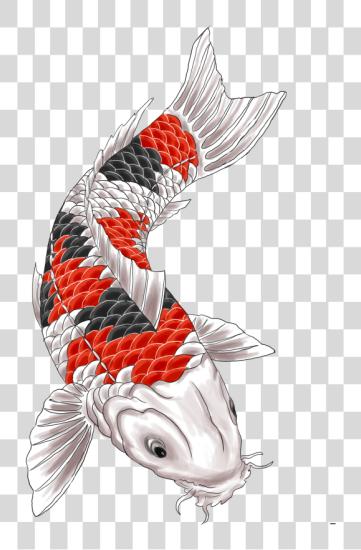 Download Koi Fish Tattoo Jpg Library Stock Koi Tattoo PNG file