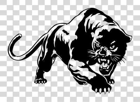 下载 Panther Picture 黑色 Panther 动物 繪畫 PNG file