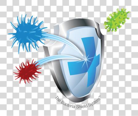 Download Shield Protection Shield Shield Protect de Bacteria PNG file