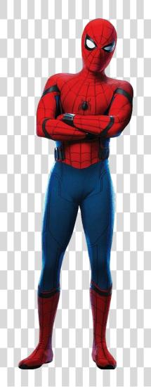 下载 蜘蛛 Man Homecoming Spiderman Homecoming PNG file