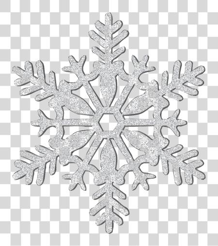 下载 snowflake 闪光 銀 雪 冬天 freetoedit 銀 闪光 Snowflakes PNG file