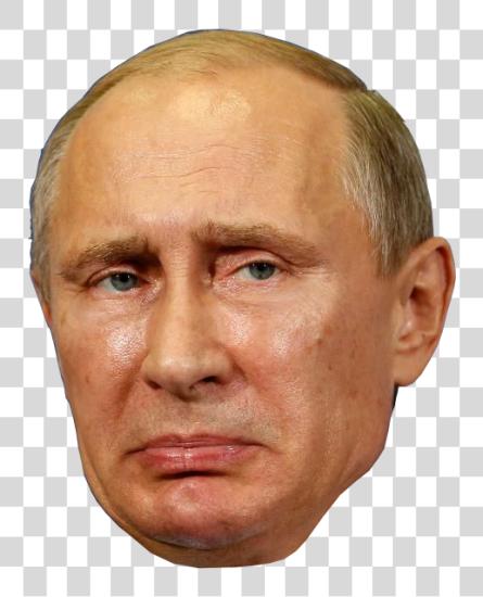 Download Sad Putin Putin expresión cara Sadimir Vladimir Putin cara PNG file