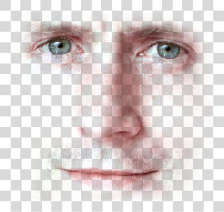 下载 Danny dannyisokay Todd Howard PNG file