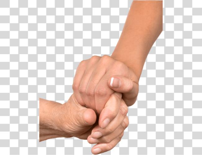 Download Helping Hands Holding Hands Clip Art