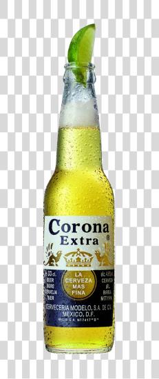 下载 Corona Extra Lime Bottle PNG file