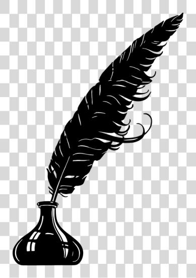 Download Feather bolígrafo vector Quill bolígrafo PNG file