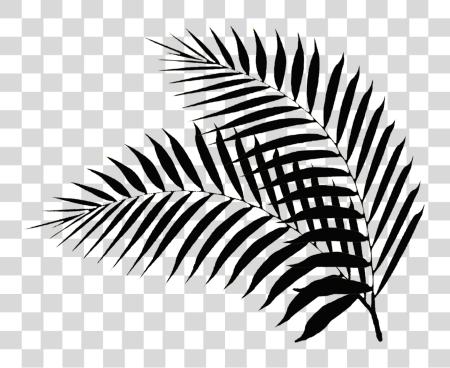 Download Palm Leaf Drawing At Getdrawings Black Palm Leaf PNG file