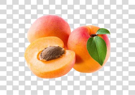 تحميل Apricot Image Apricot فاكهة بي ان جي ملف