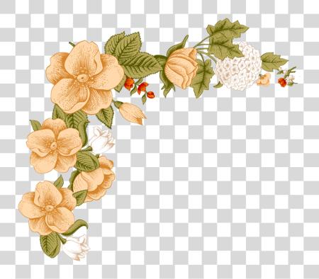 تحميل أبيض زهرة Frame خلفية زهري Peach Border تصميم بي ان جي ملف