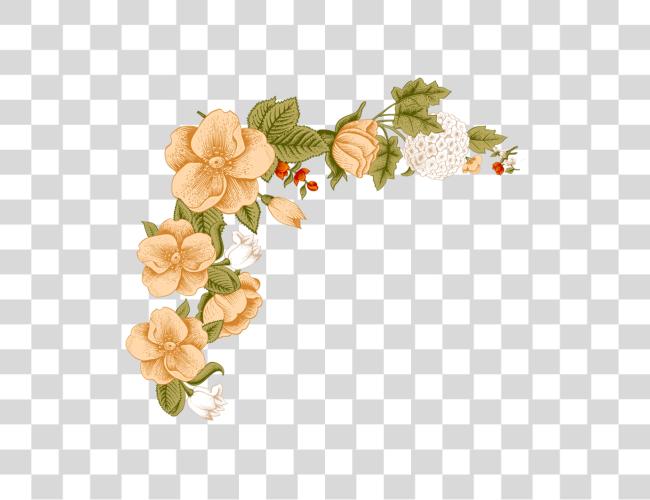 Download White Flower Frame Background Floral Peach Border Design Clip Art