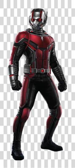 下载 Ant Man Ant Man 和 这那 Wasp Cardboard PNG file