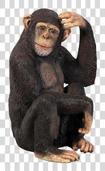 Download Monkey Fiberglass Life Size Monkey PNG file