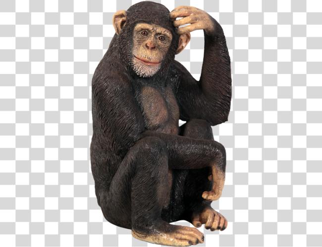 Download Monkey Fiberglass Life Size Monkey Clip arte