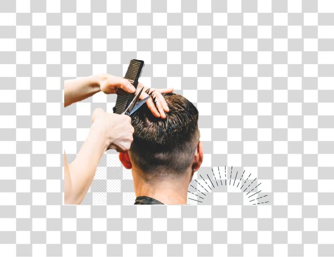 Download Mens Womens Haircuts In Barber Clip Art