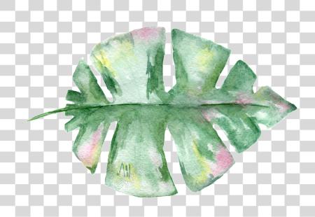 下载 Hand Painted 叶子 材料 水彩 Leaves PNG file